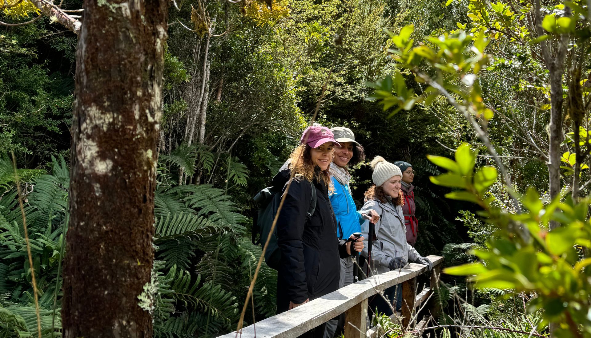 Chiloé Rainforest Hike 