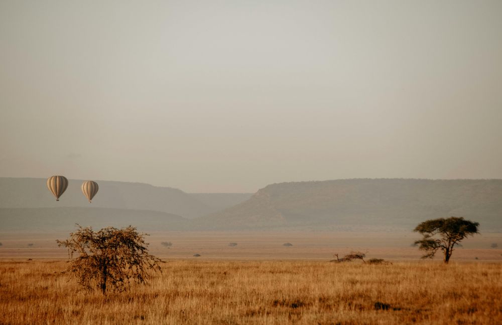 Balloon Safari