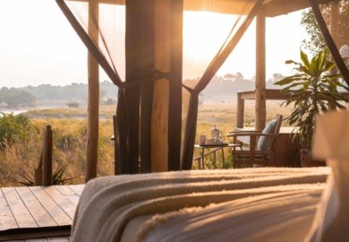 Finding Serenity in the African Bush