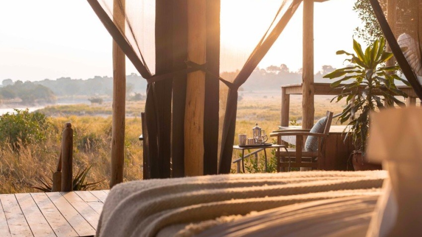 Finding Serenity in the African Bush