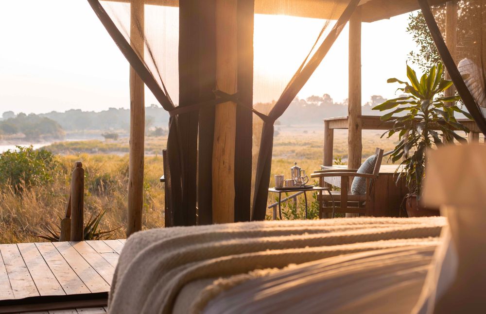 Finding Serenity in the African Bush